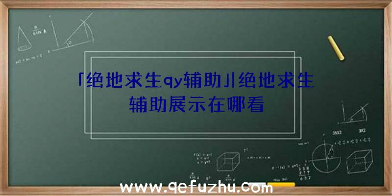 「绝地求生qy辅助」|绝地求生辅助展示在哪看